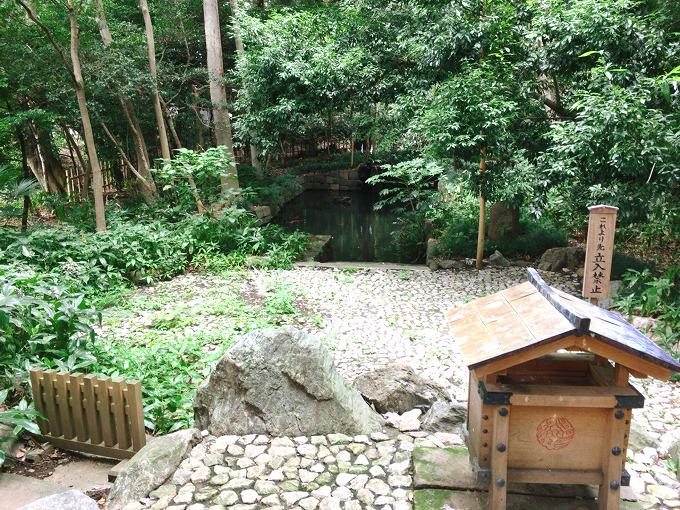 【パワースポット】大宮 氷川神社　「池の水をぜんぶ抜く」の前日に行ってきた！底が見えるレア景色に遭遇