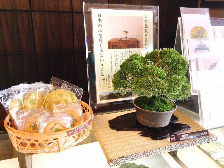 【お出かけ】大宮盆栽美術館　さいたま市　盆栽だーやワークショップ・イベントも開催中☆世界に誇る日本の文化