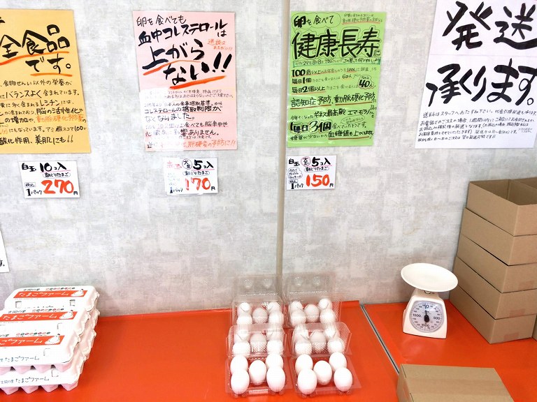 【感動】吉岡の里たまごファーム 熊谷市 高確率で黄身が二つの大玉をゲット☆割るのも楽しみな卵だぞ♪【直売】