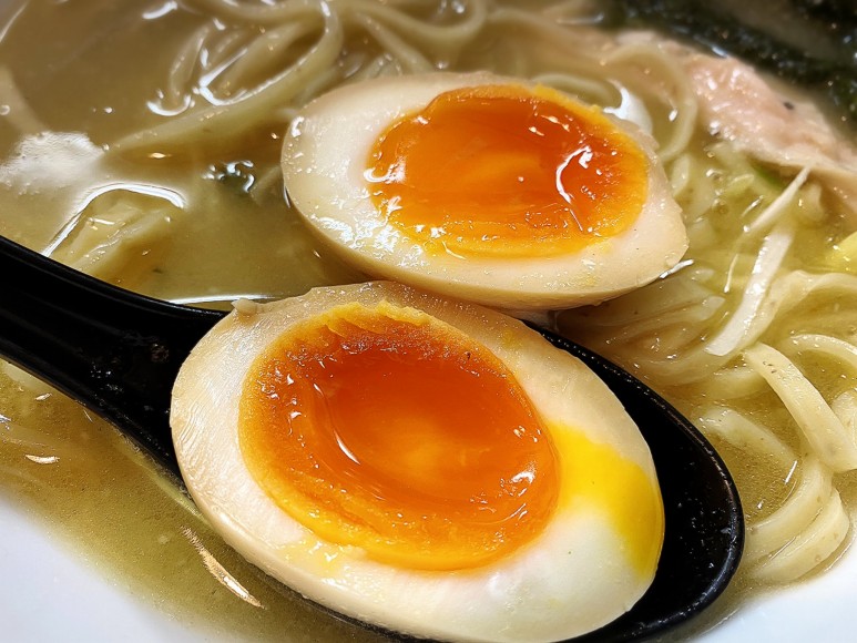 【鶏白湯】自家製麺ラーメンK 富士見市 ラーメン特製塩の実食とメニュー紹介【切りたて】
