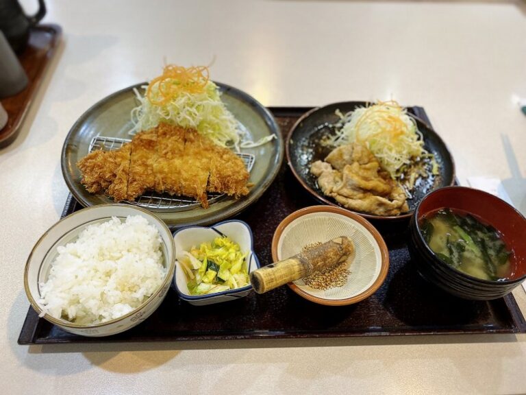 柳瀬川駅すぐ！ぺあもーる内にある「ひのはら」のとんかつがウマい！ 食べて埼玉