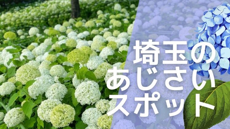 埼玉のアジサイが綺麗な名所まとめ｜見頃は6月上旬から7月上旬