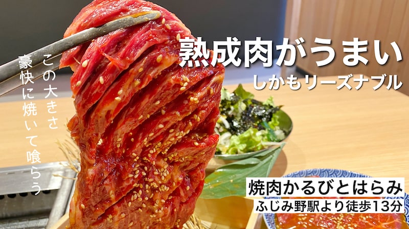 【豪快】焼肉かるびとはらみ ふじみ野市 熟成肉390円～新メニューも食べてきた！