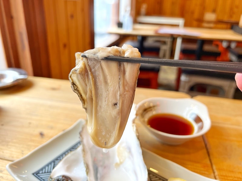 越谷市「大衆酒場どんどん」三陸産生ガキが旨い！激辛スンドゥブ水餃子も推しの一品です。