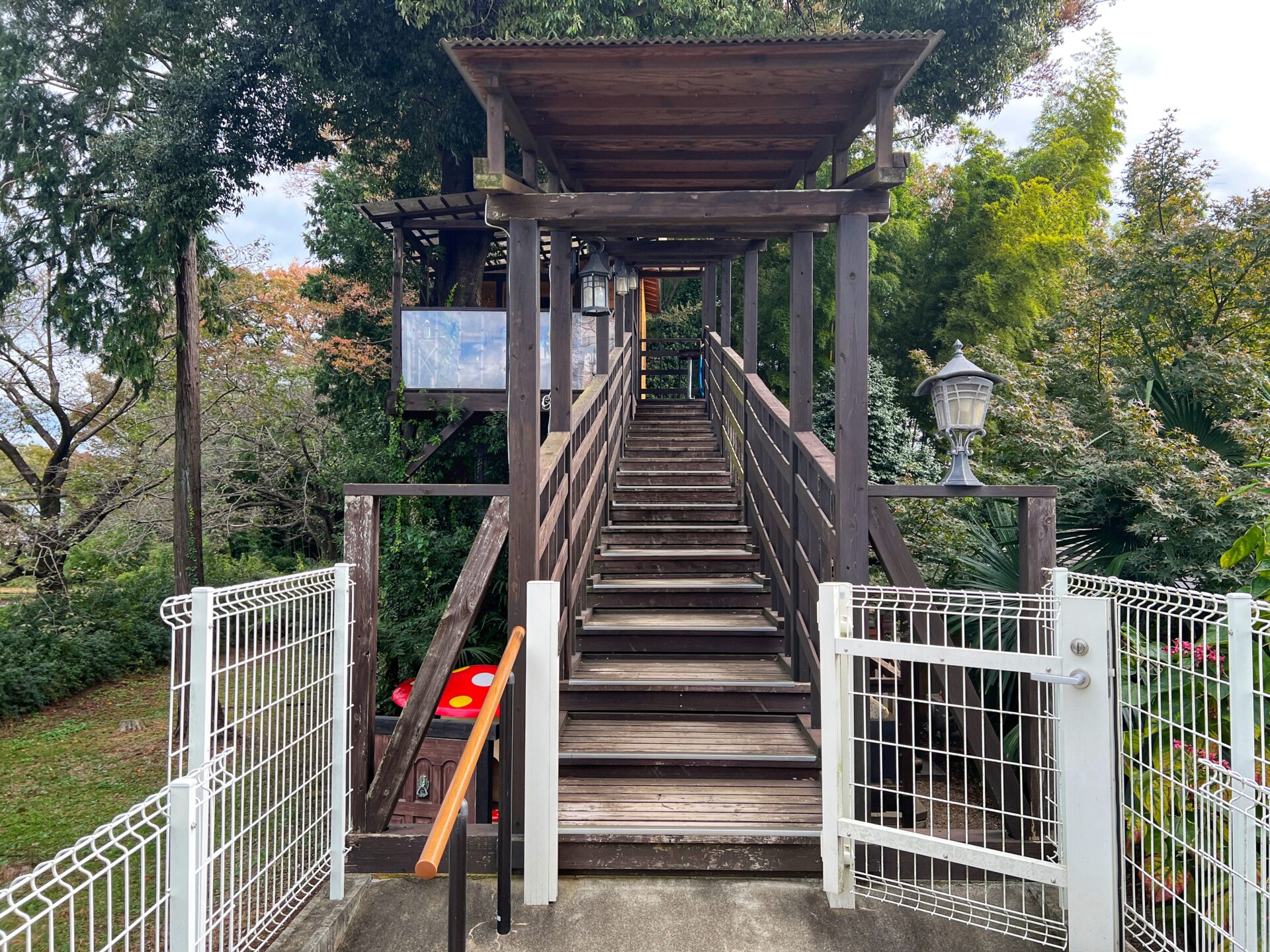 所沢市「ツリーハウスカフェnicorico」埼玉で唯一！木の上にあるカフェでランチしてきた