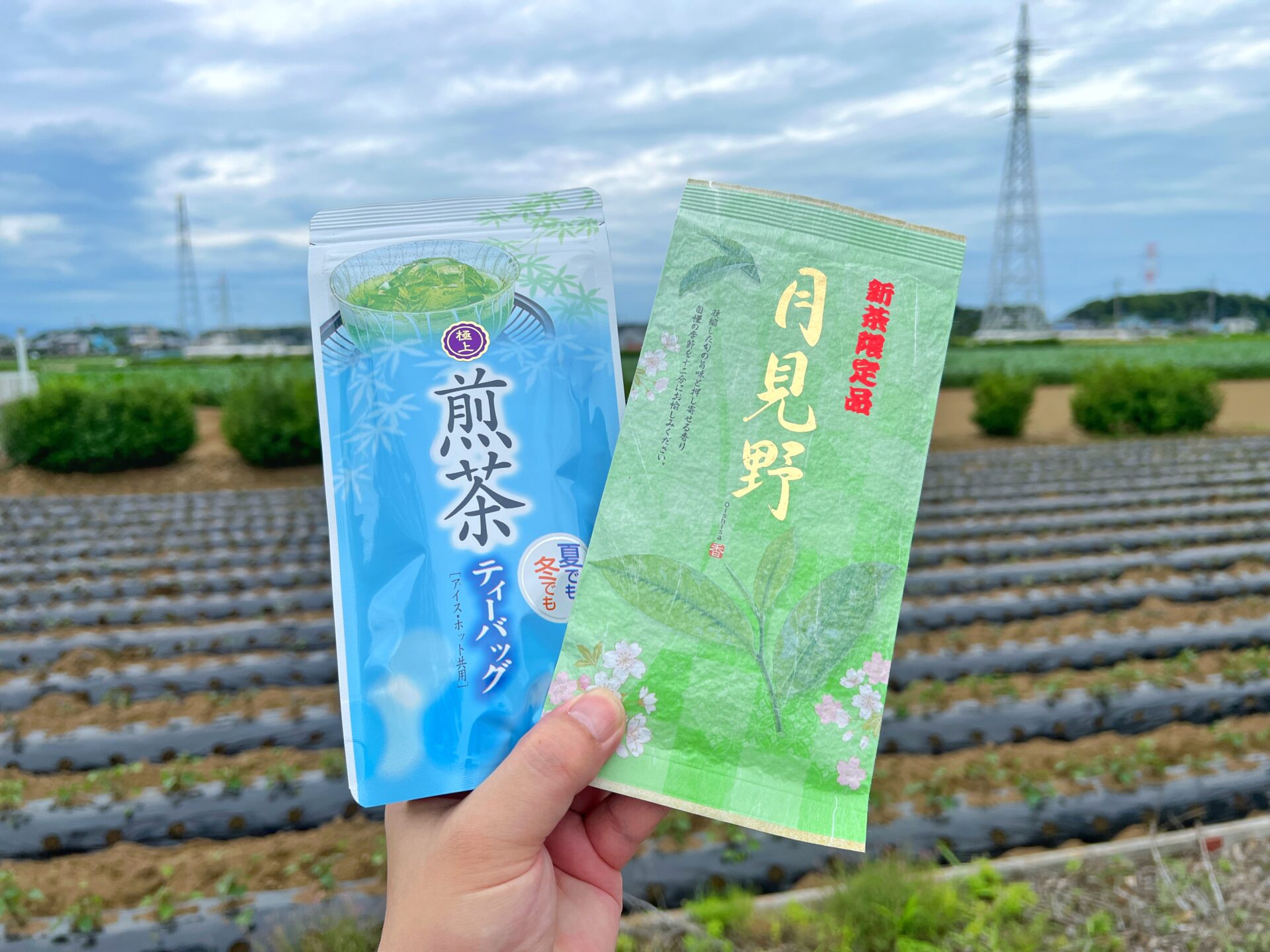 狭山市「狭山茶の清風園」創業70年！煎茶を飲みながら抹茶スイーツをいただけます