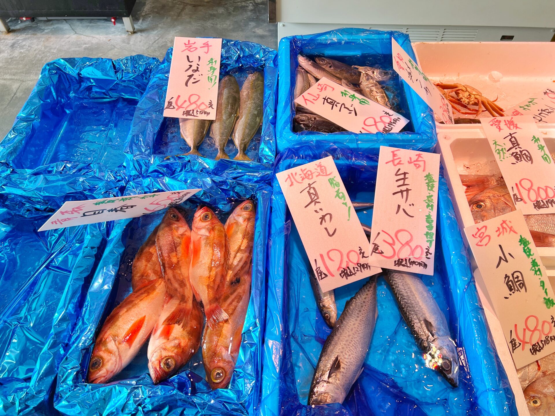 坂戸市「鮮汰」注目の新店で海鮮丼ランチ！買った魚をすぐ食べれる魚屋さんが最高です