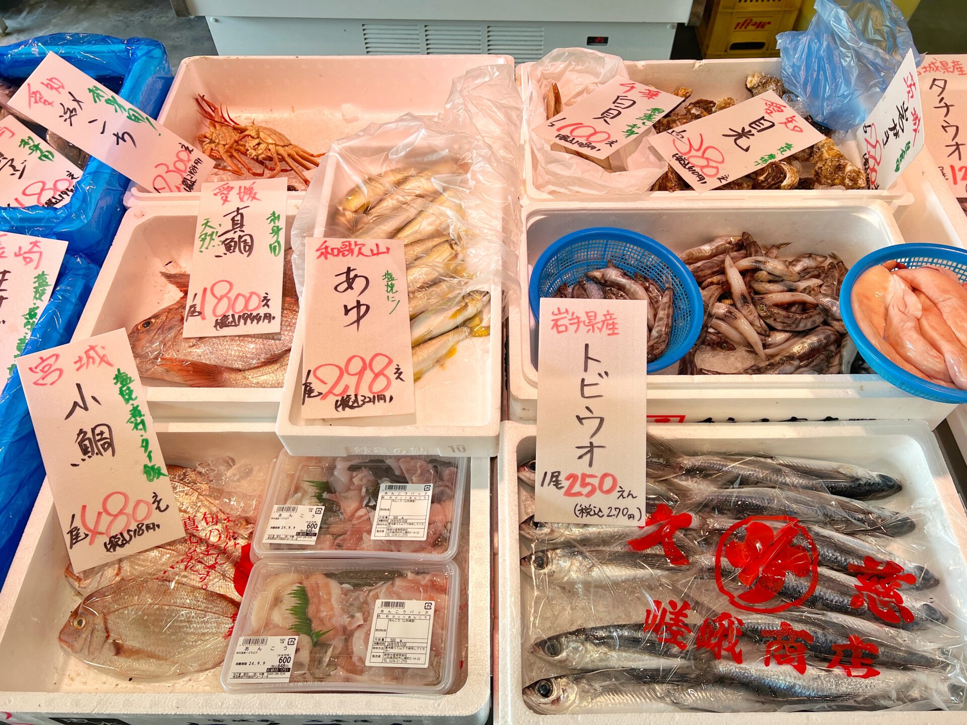 坂戸市「鮮汰」注目の新店で海鮮丼ランチ！買った魚をすぐ食べれる魚屋さんが最高です