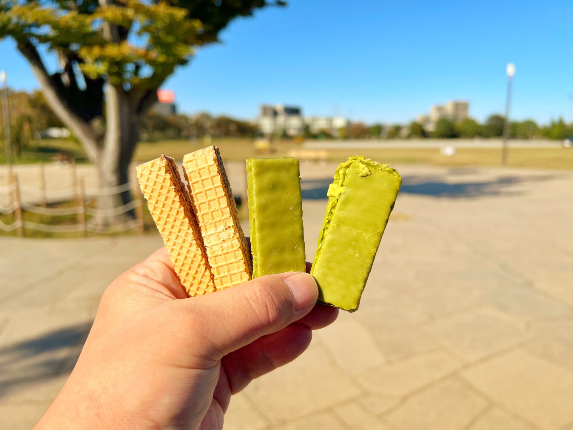 草加市「平塚製菓ファクトリーショップ」200円台で大量…のチョコや焼き菓子の工場直売所