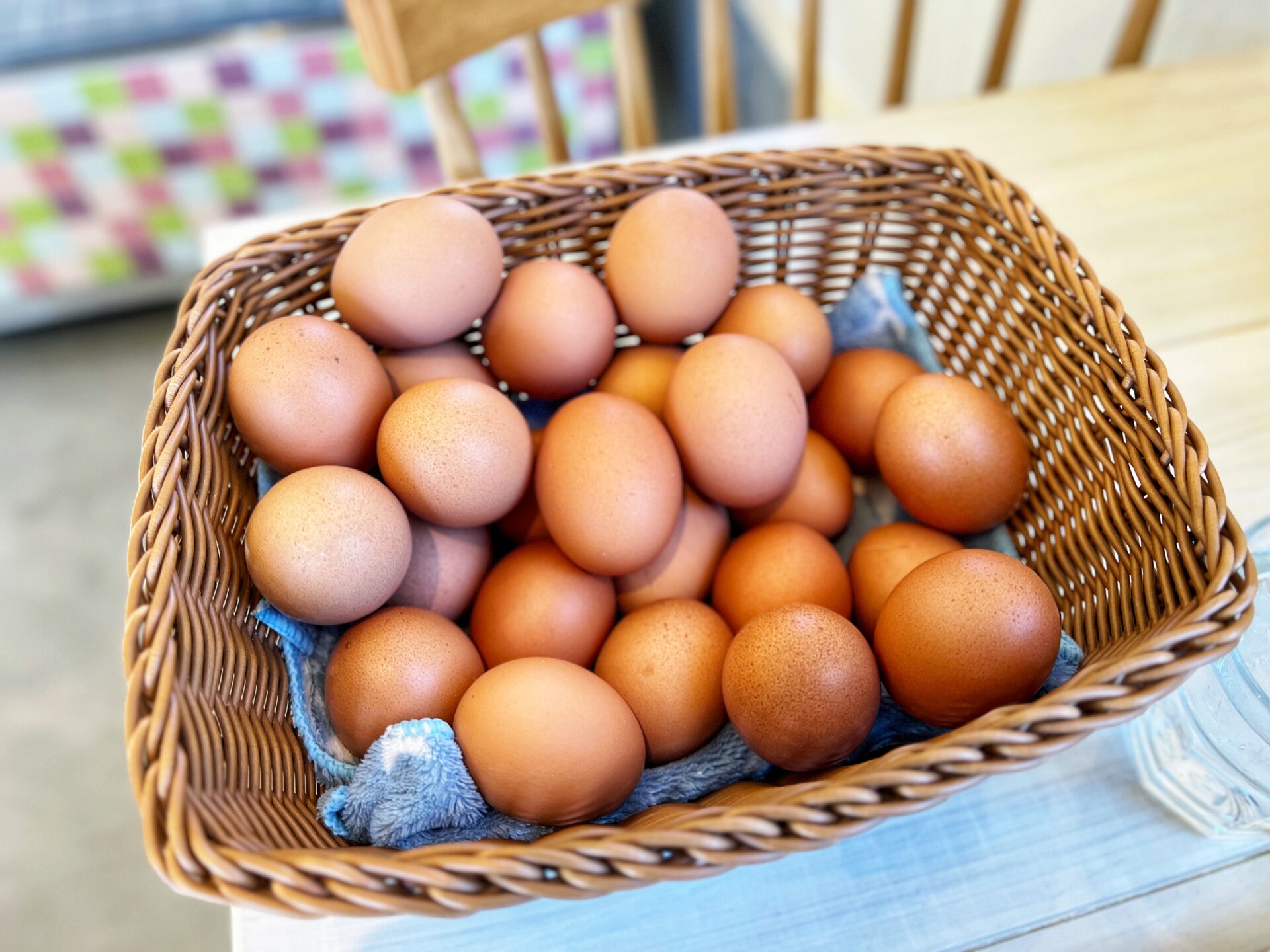 坂戸市「そのさき食堂」卵の養鶏場が営むTKGかけ放題がある卵食堂ランチが最高です