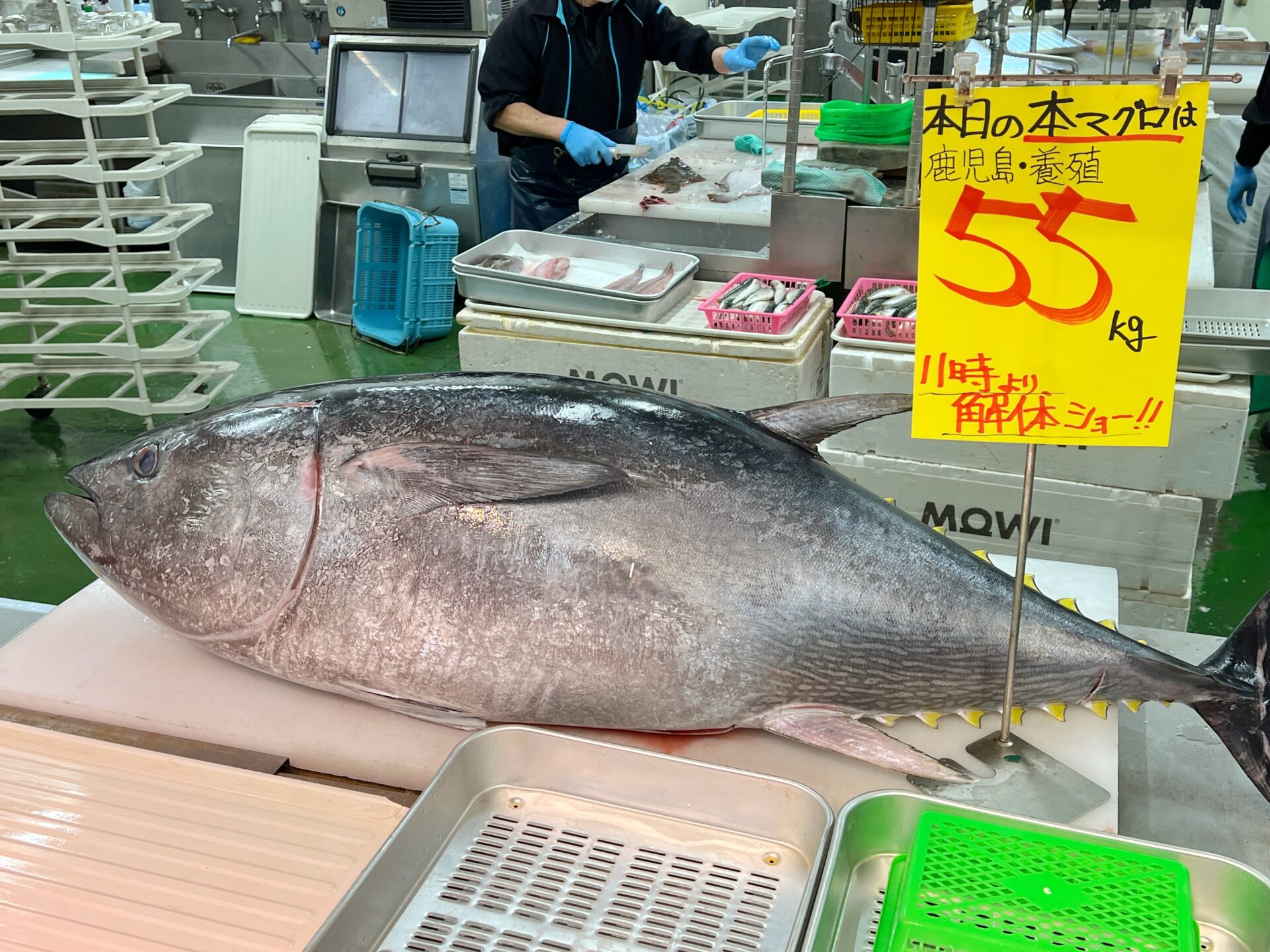 川越市「漁港食堂」市場直送の新鮮なお刺身が全部食べ放題2500円の神ランチ