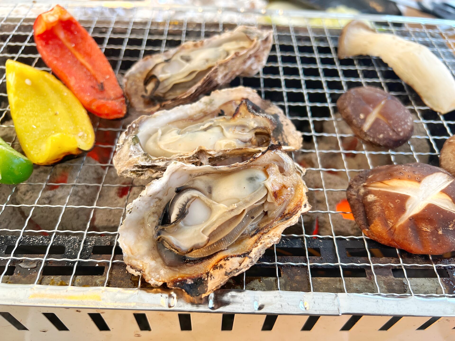 富士見市「牡蠣小屋 恵比寿丸」びん沼自然公園で新鮮な魚貝の海鮮BBQが3月末まで開催中