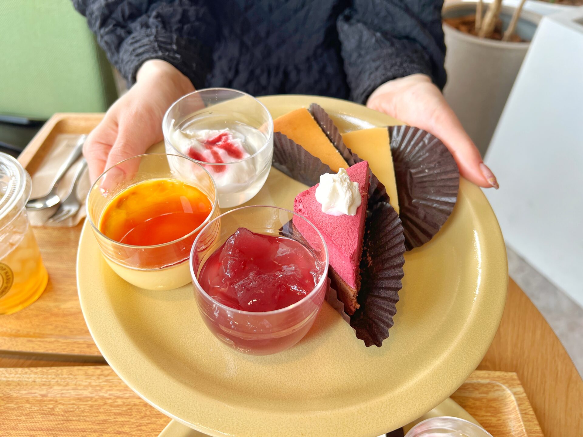 所沢市「チーズガーデン エミテラス所沢店」御用邸チーズケーキと10種類以上のスイーツ食べ放題
