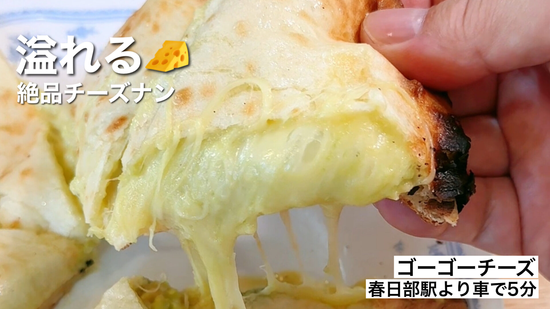 春日部市「ゴーゴーチーズ」明太チーズやアボカドチーズナンが美味すぎるコスパランチの新店
