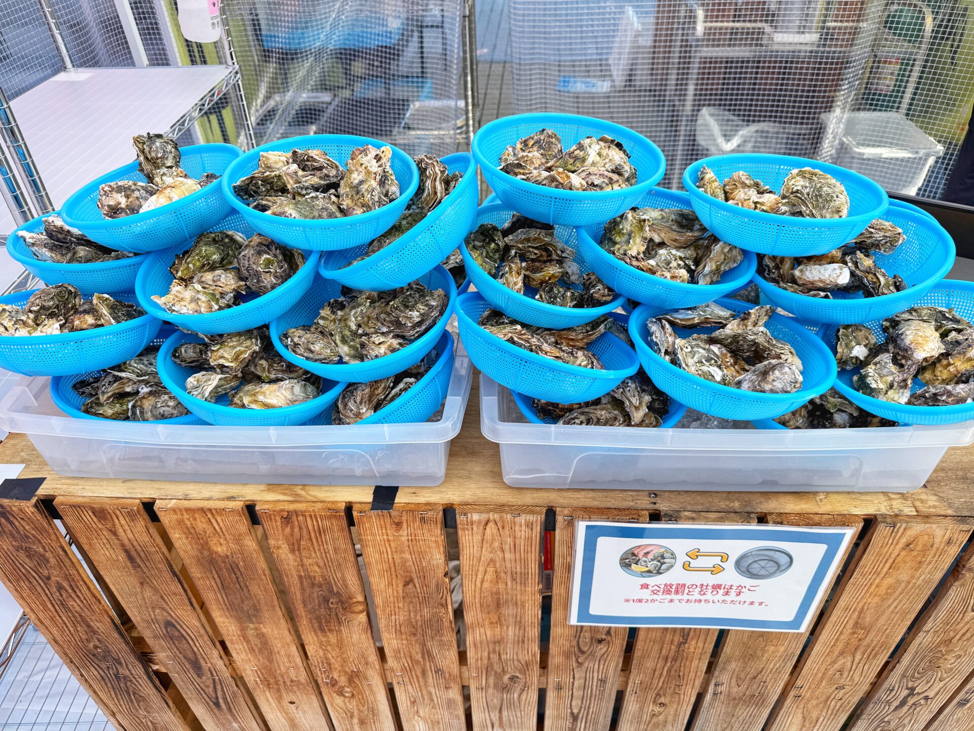 熊谷市「牡蠣小屋かき太鼓 熊谷駅ビル店」青空の下で食べる牡蠣の食べ放題は3月29日まで