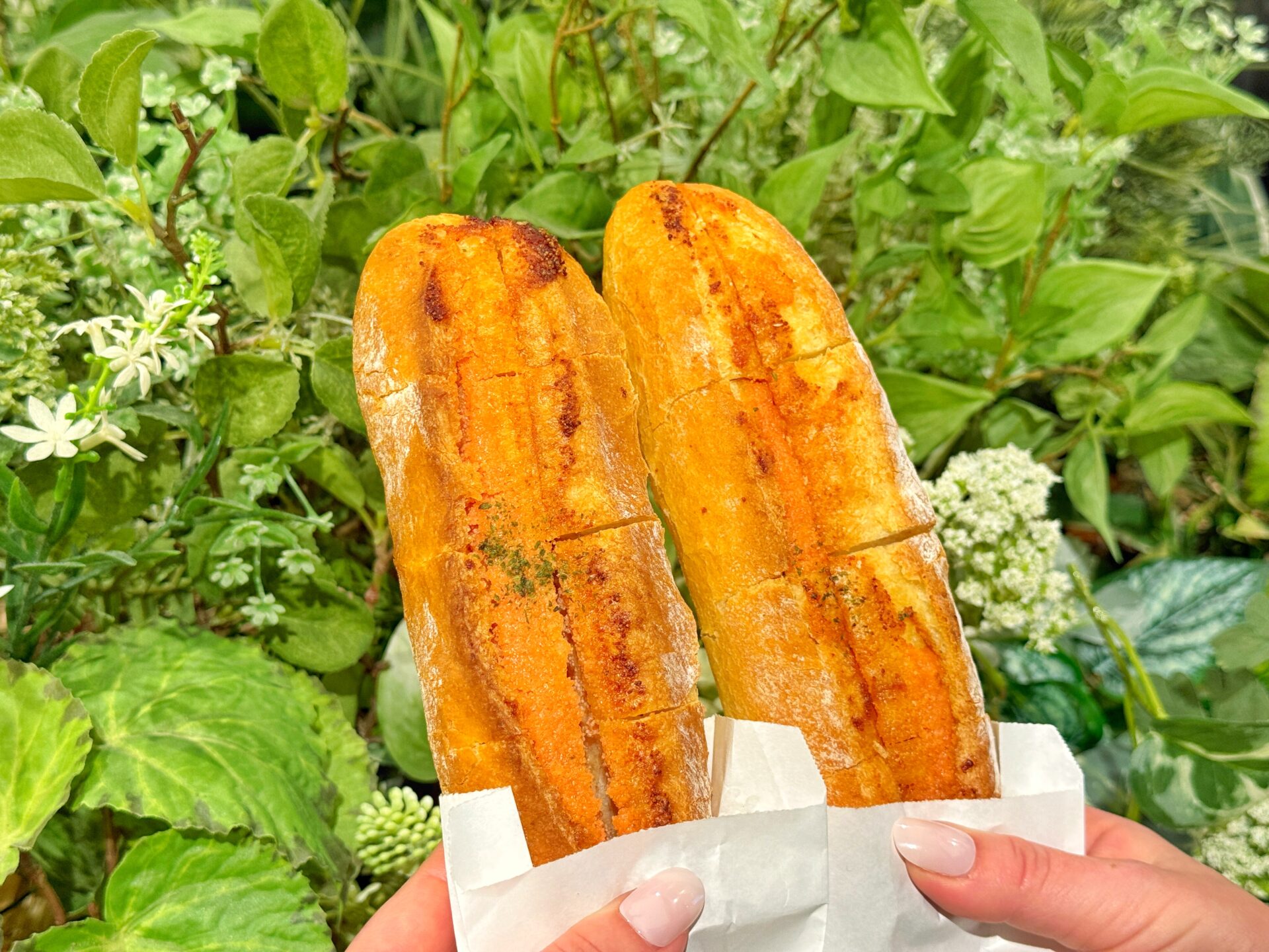 川越市「福岡物産展」福岡名物が一同に集まるグルメイベントは12月8日まで